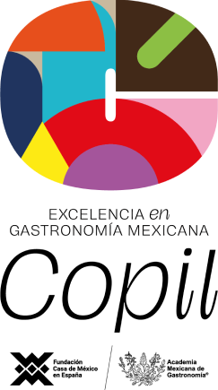 logo-copil-historia